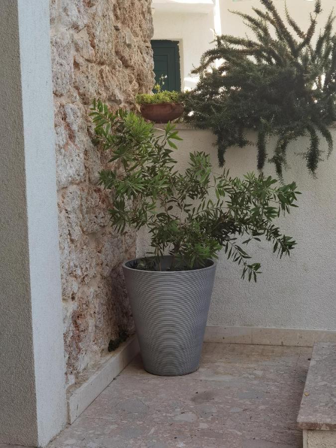 Manda Gradac Apartment Градац Екстериор снимка